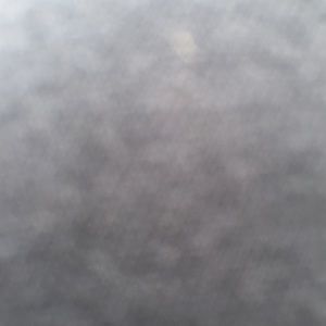 Meet your Posher, Debbie